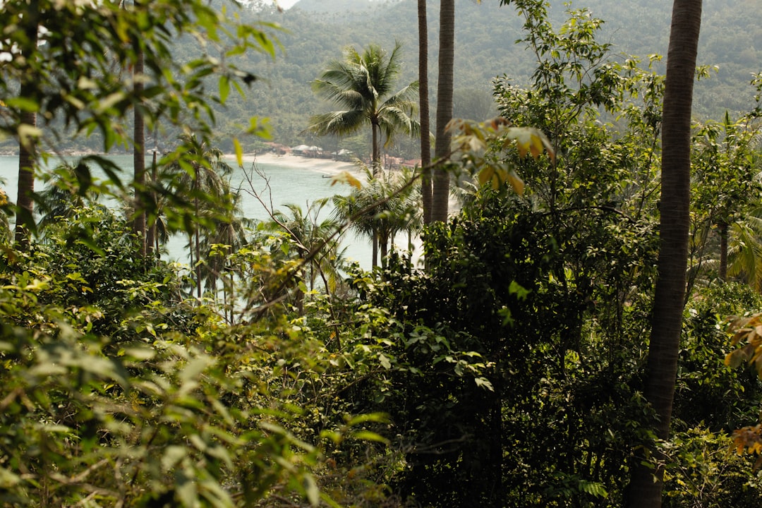 Eco-Friendly Escapes: The Rise of Sustainable Tourism